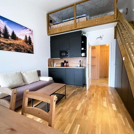 Miky Apartman Klinovec View Loučná pod Klínovcem エクステリア 写真