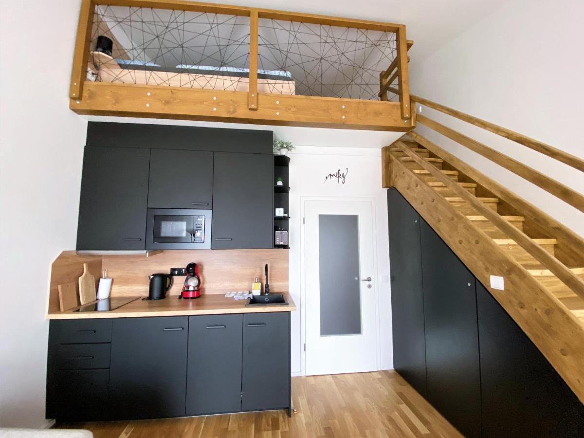 Miky Apartman Klinovec View Loučná pod Klínovcem エクステリア 写真