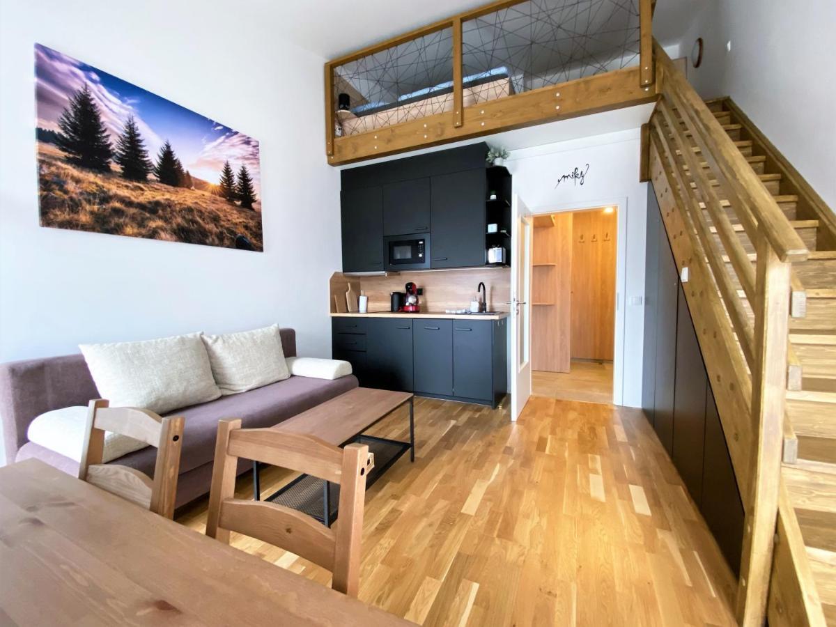Miky Apartman Klinovec View Loučná pod Klínovcem エクステリア 写真